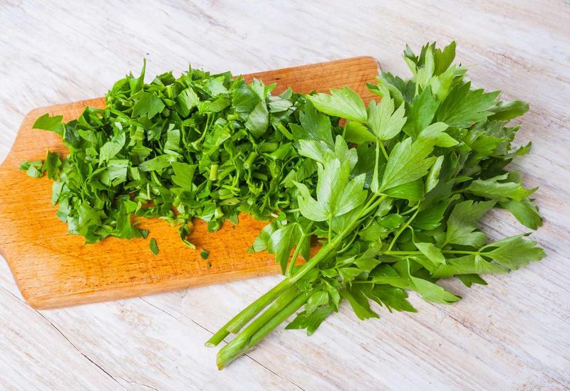 Lovage