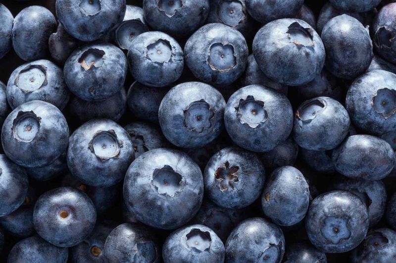 Blueberry Burst Refreshes