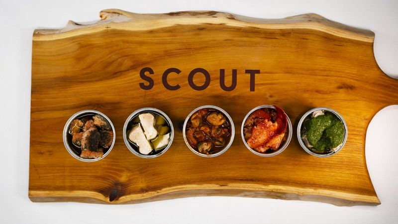 Scout
