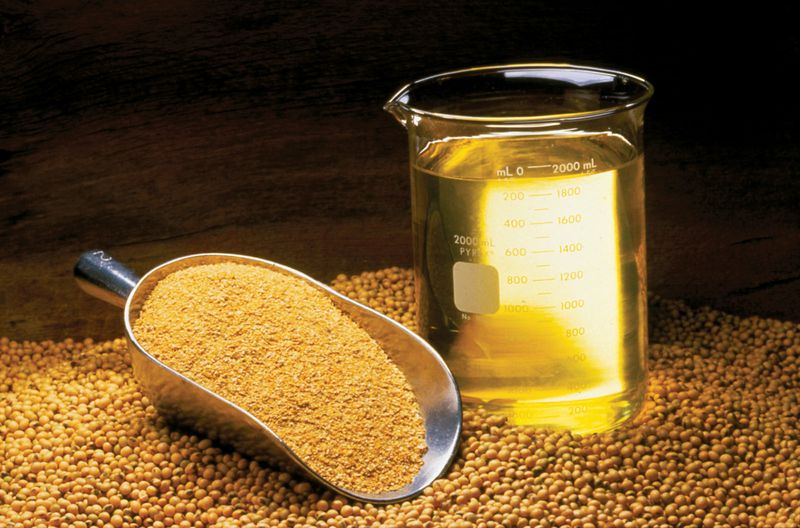 Soybean Oil's Reheat Risks