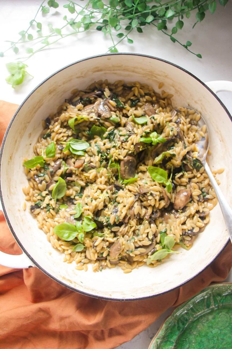 Garlic Butter Mushroom Orzo