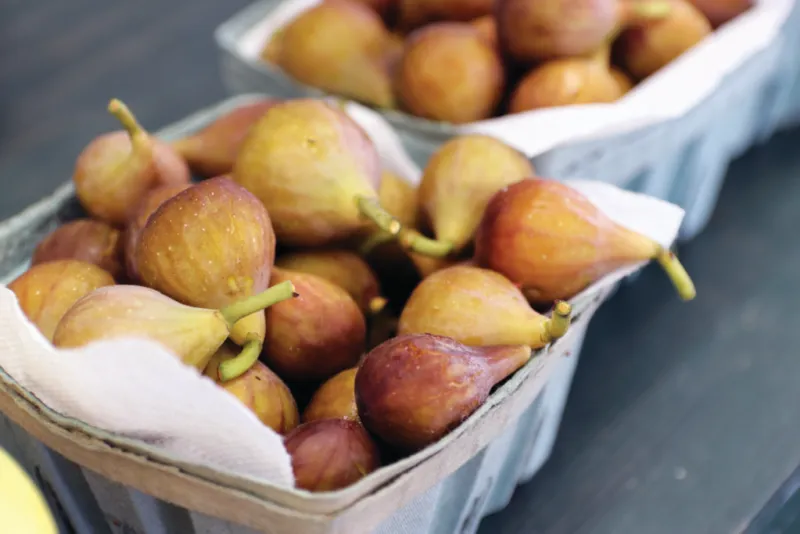 Luscious Figs