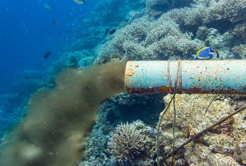 Environmental Damage From Waste And Pollution