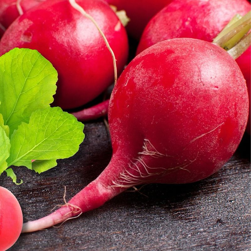 Radishes