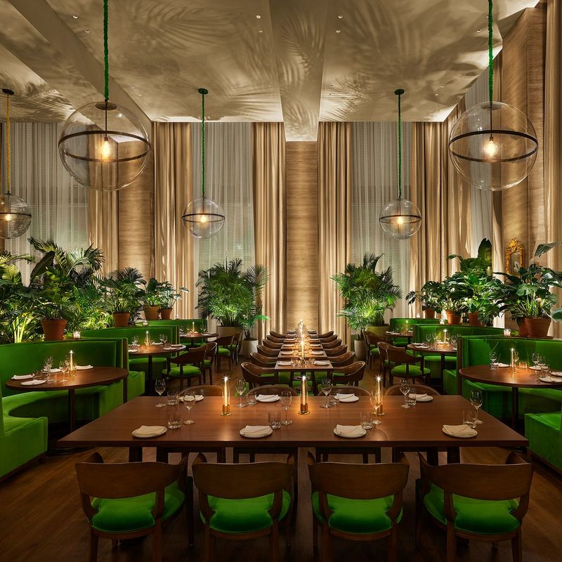 Lilac – Tampa, FL