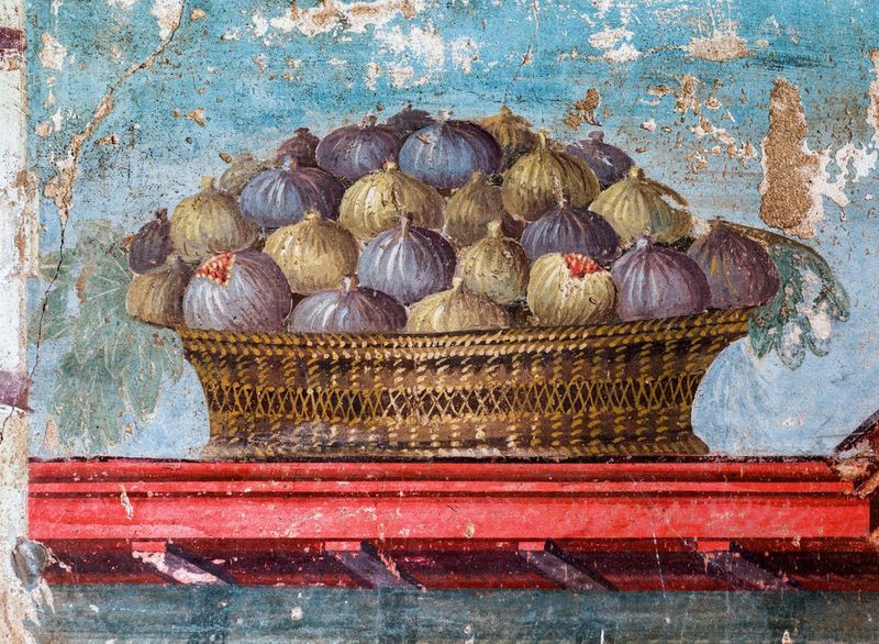 Figs