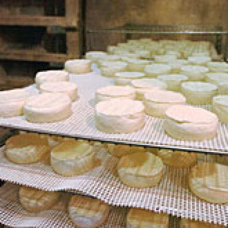 Soft Cheeses With A Risky Reputation