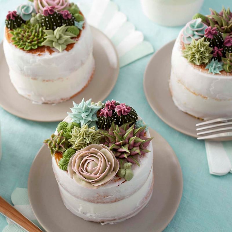 Blooming Cactus Cheesecake