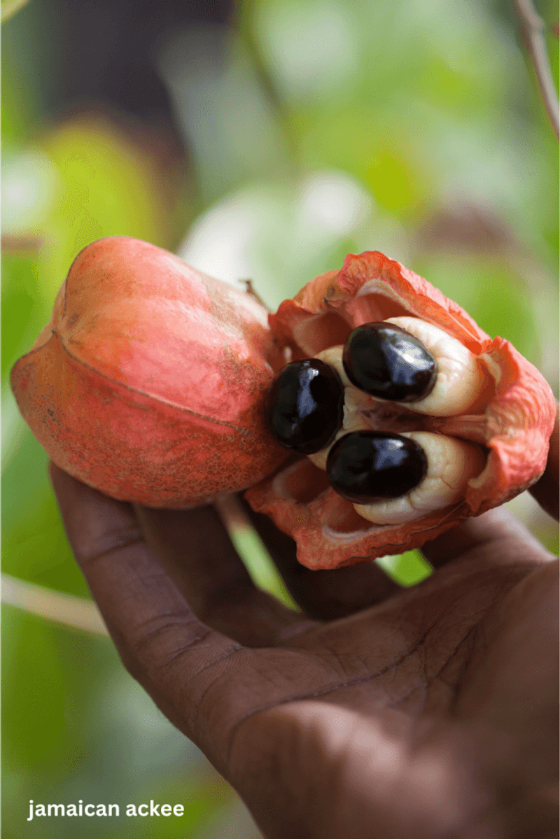 Ackee