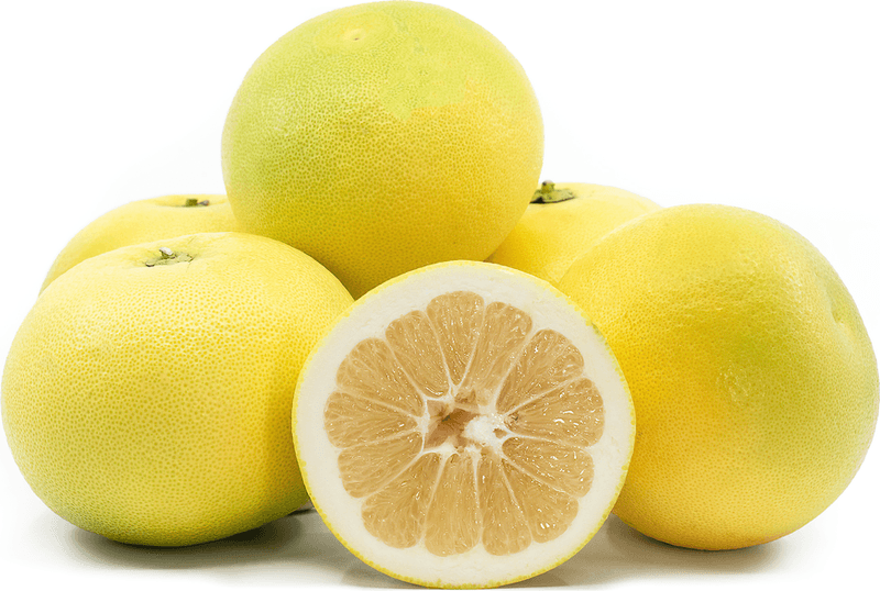 Oro Blanco