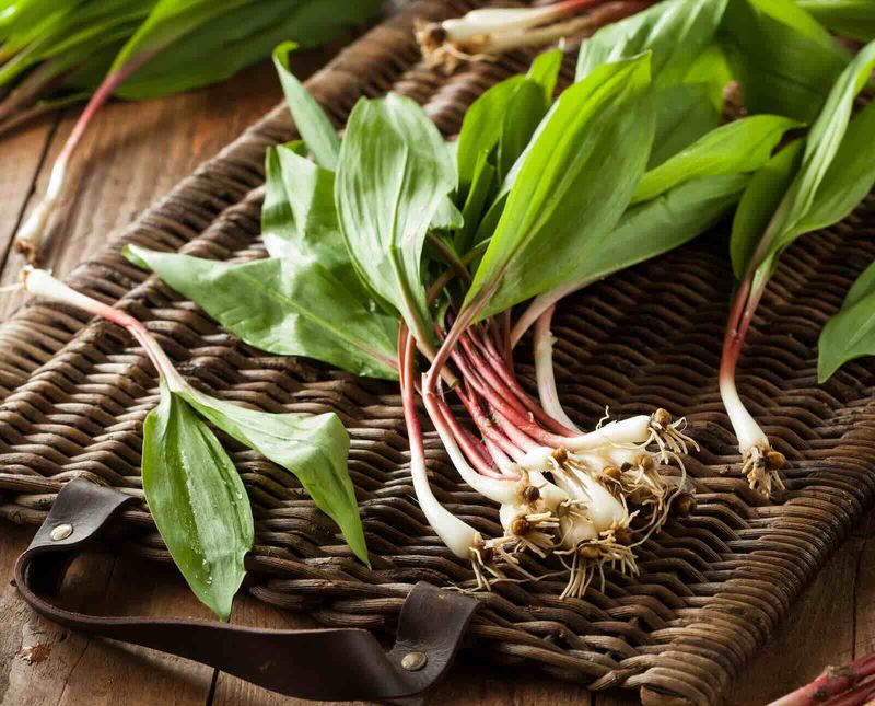 Ramps