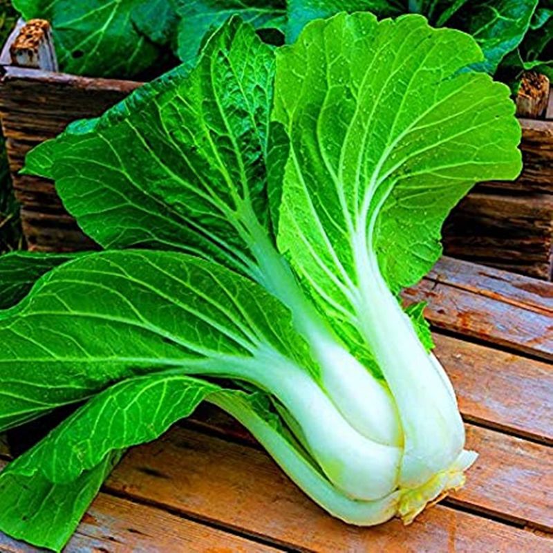 Bok Choy