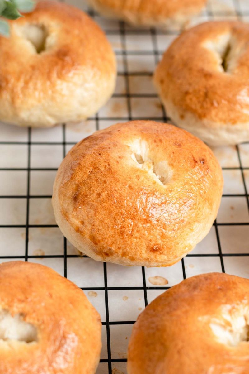 Plain Bagel
