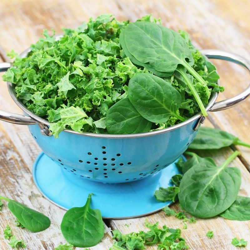 Leafy Greens: The Fountain of Youth