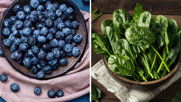 Feeling Sluggish? Try These Top 16 High-Energy Foods