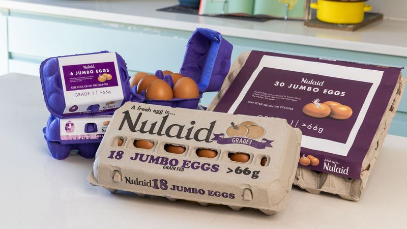 Nulaid's Nasty Surprise