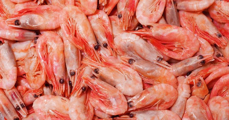 Fish To Avoid: Imported Shrimp