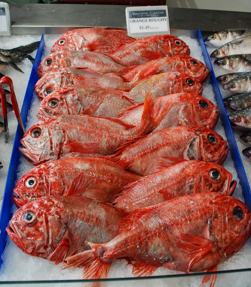 Fish To Avoid: Orange Roughy