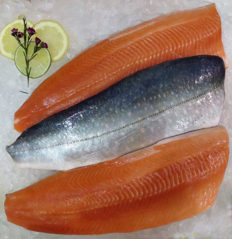Fish To Enjoy: Arctic Char