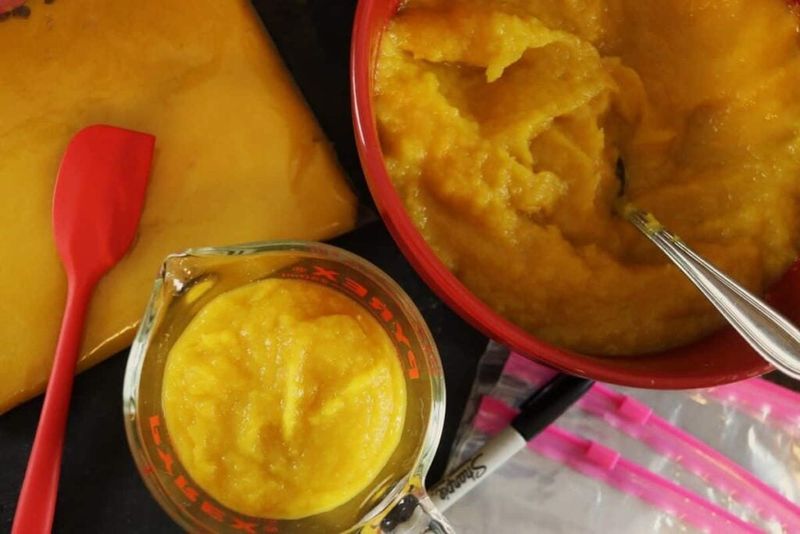 Puree And Freeze Overripe Fruits
