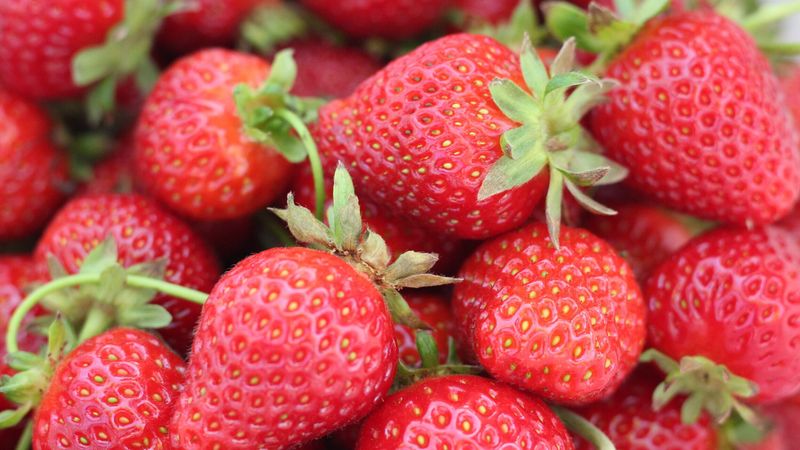 Foods To Enjoy: Fresh Berries