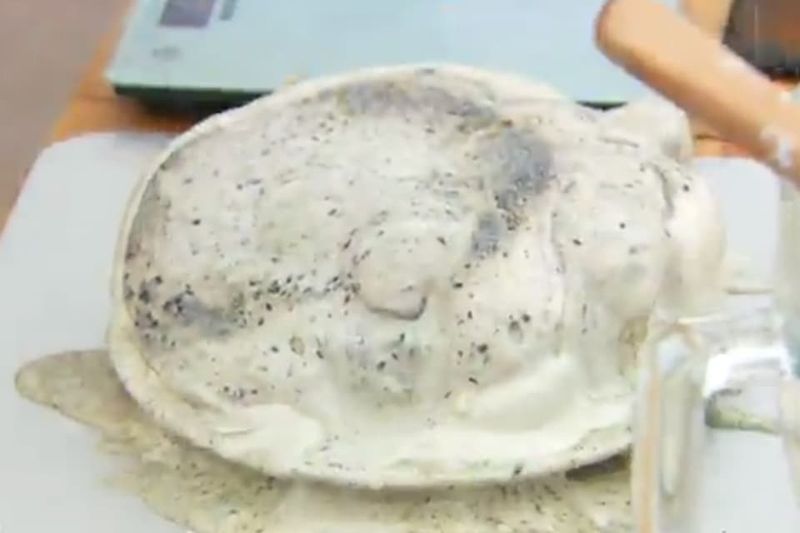 Iain's Ice Cream Baked Alaska Meltdown