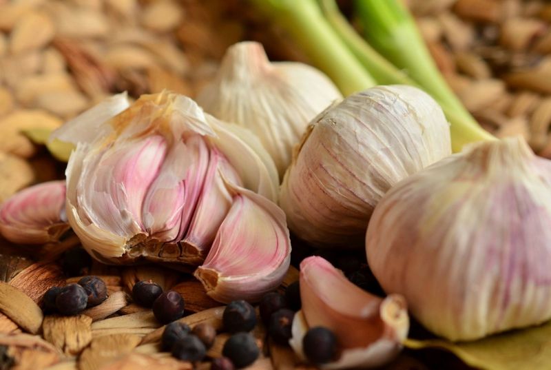 Garlic