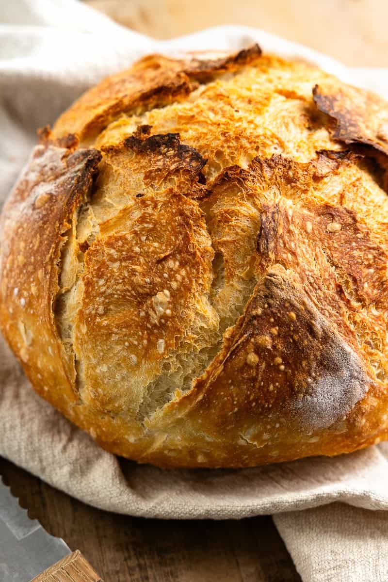 No-Knead Crusty Bread
