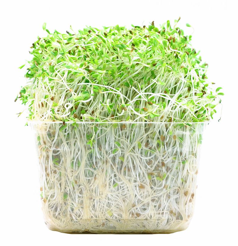 Raw Sprouts And Unwashed Produce