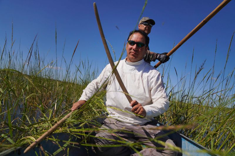 Wild Rice (Minnesota)