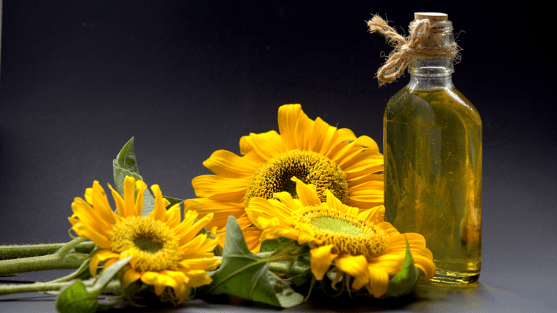 Sunflower Oil's Heating Hazards