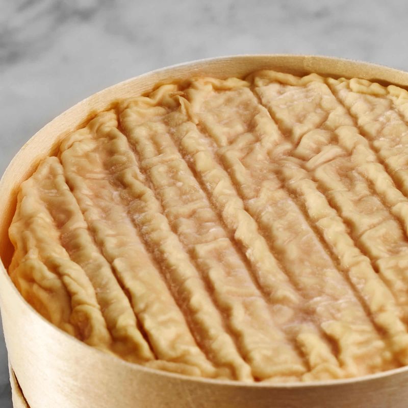 Époisse: The Cheese That Fears No Nose