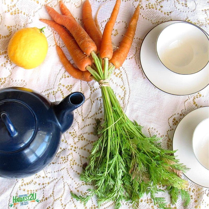 Fragrant Carrot Top Tea