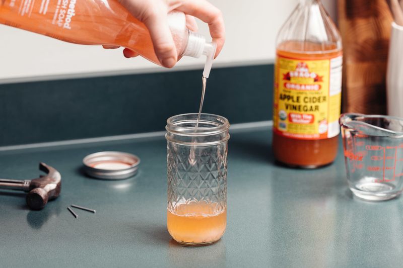 Fruit Fly Trap