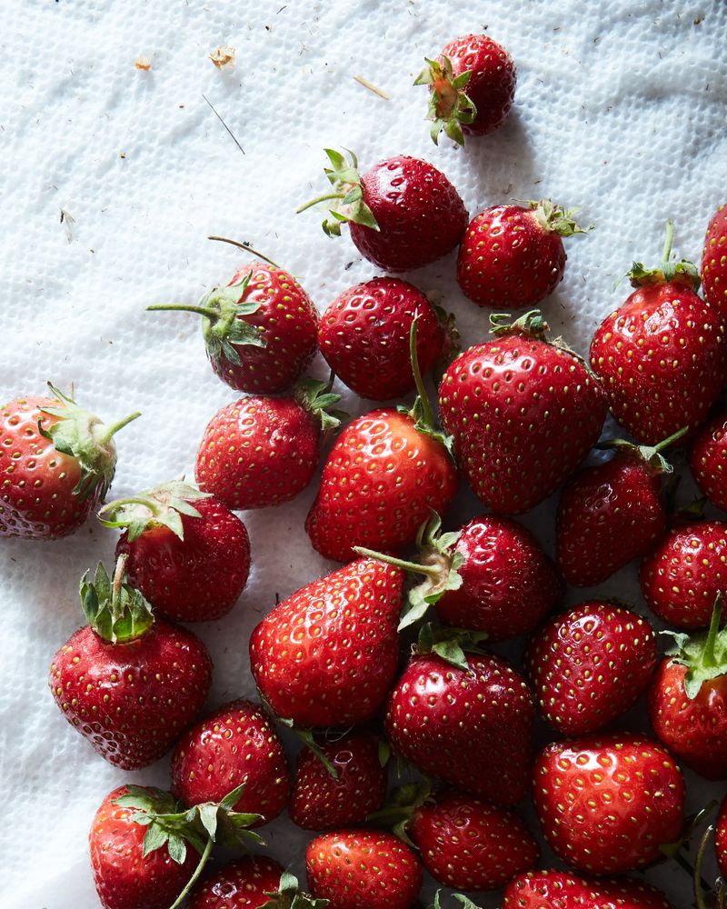 Buying Damaged Berries