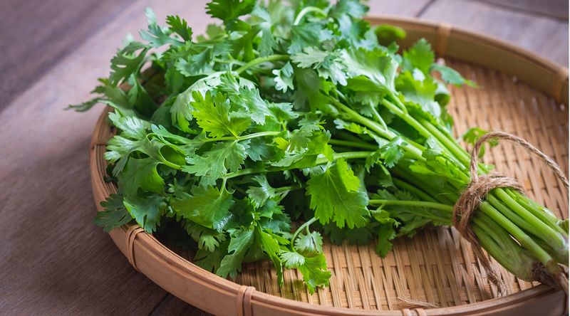 Ina Garten Won't Touch Cilantro