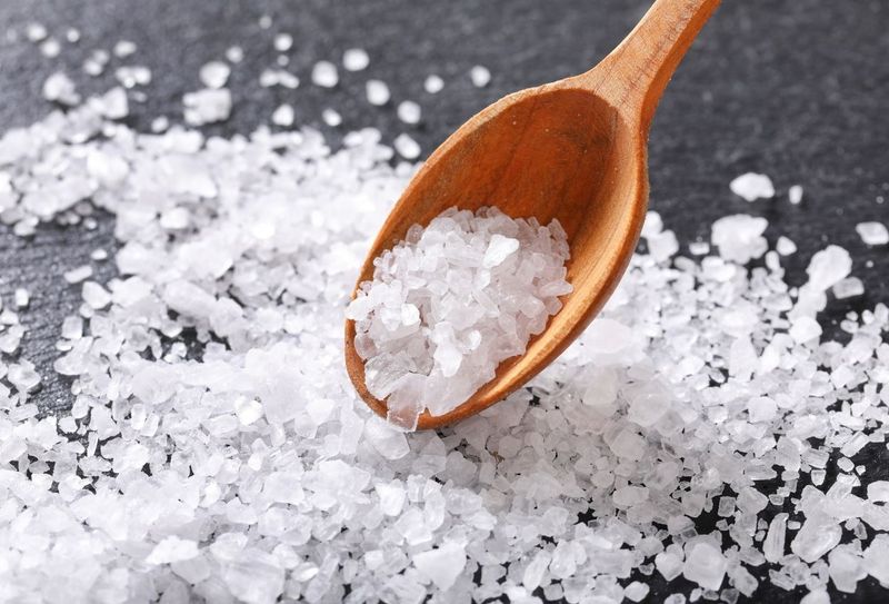 Alton Brown Demands Kosher Salt