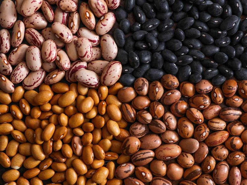 Dry Beans