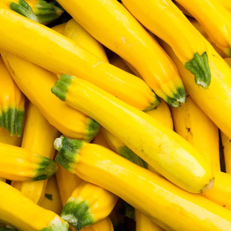 Yellow Zucchini