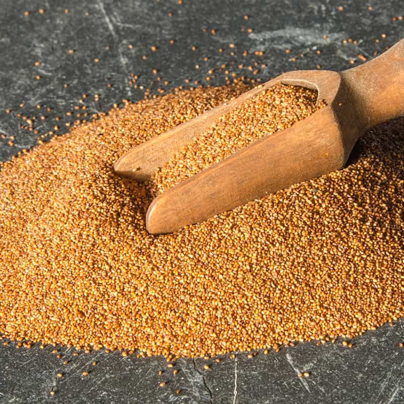 Teff: Ethiopia's Tiny Nutritional Giant
