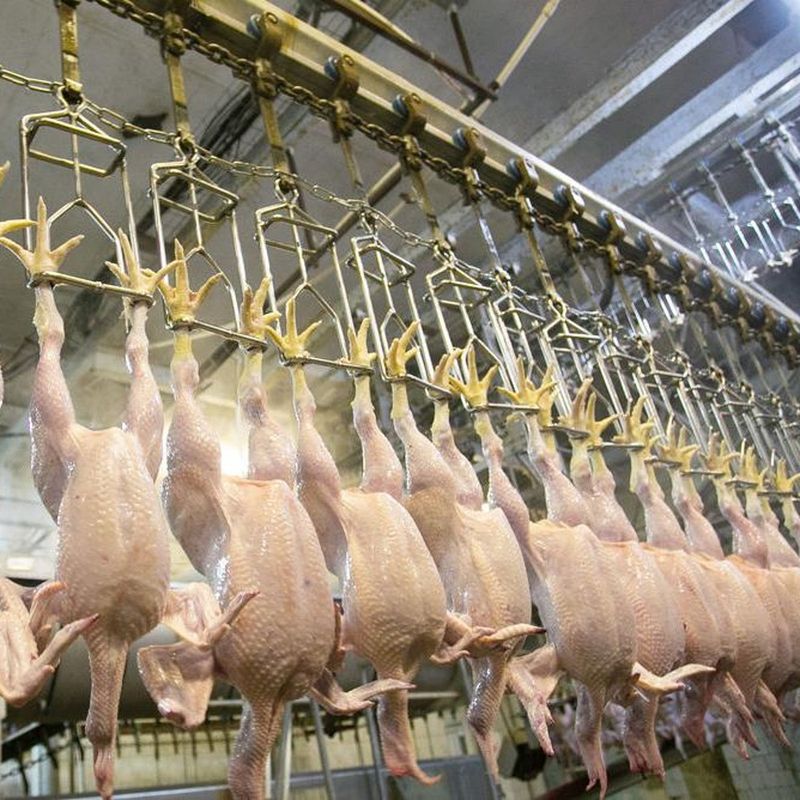 Chicken Treated With Chlorine