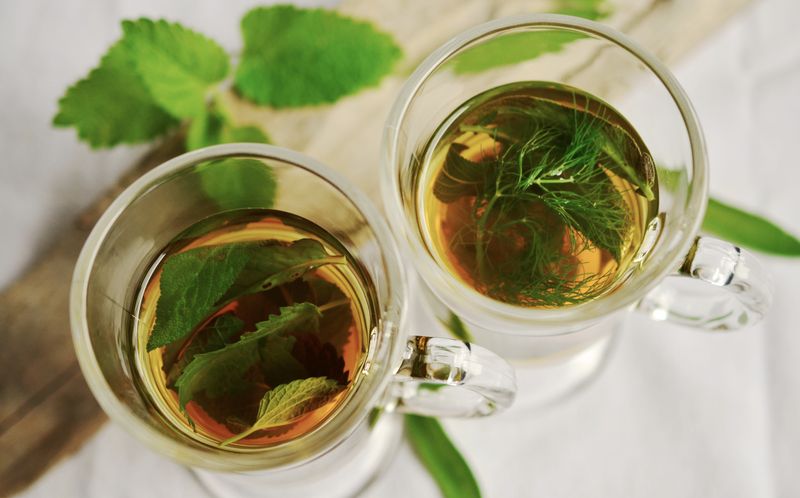 Green Tea: Sip Your Way To Better Results