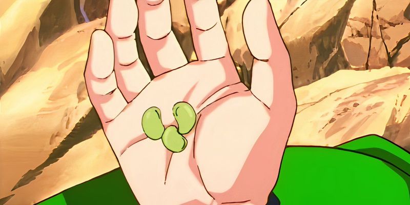 Senzu Beans From Dragon Ball Z