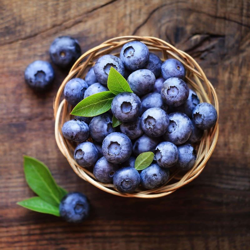 Blueberries: Tiny But Mighty Kidney Protectors