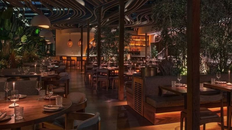 Mēdüzā Mediterrania – New York, NY