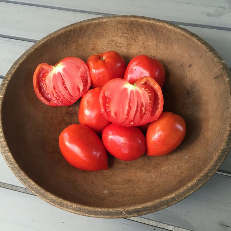 Amish Paste Tomatoes