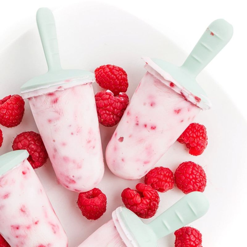 Frozen Yogurt Popsicles