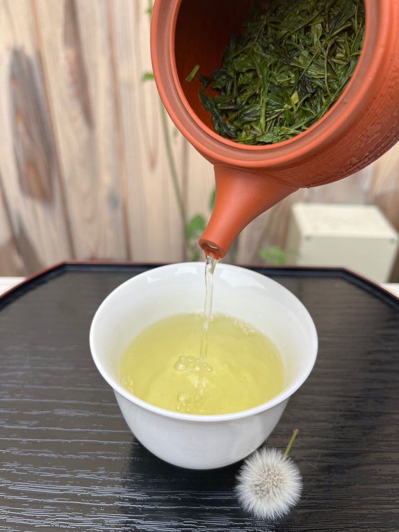 Sencha