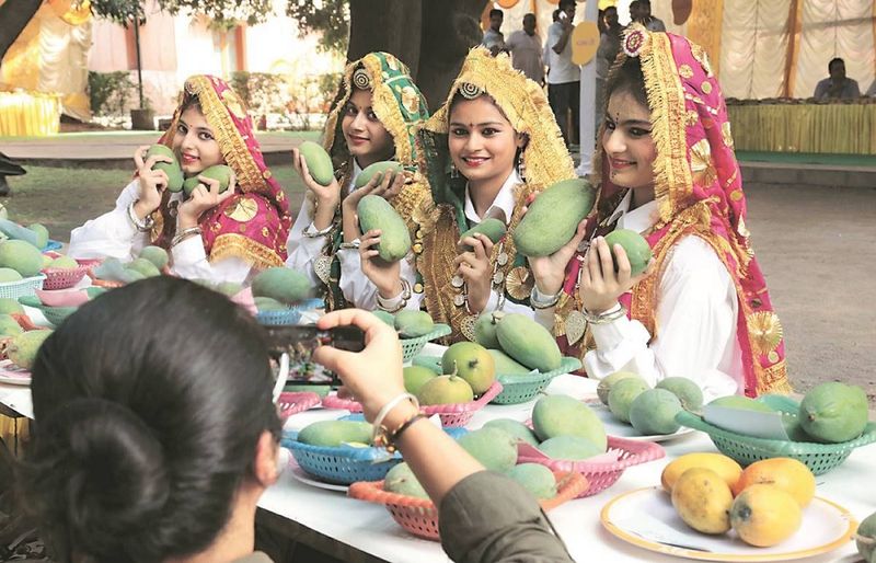 Mango Season Celebrations (India)