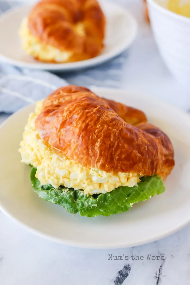 Egg Salad Supreme